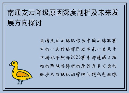 南通支云降级原因深度剖析及未来发展方向探讨