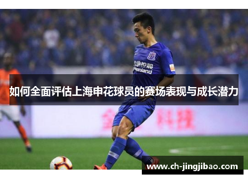 如何全面评估上海申花球员的赛场表现与成长潜力